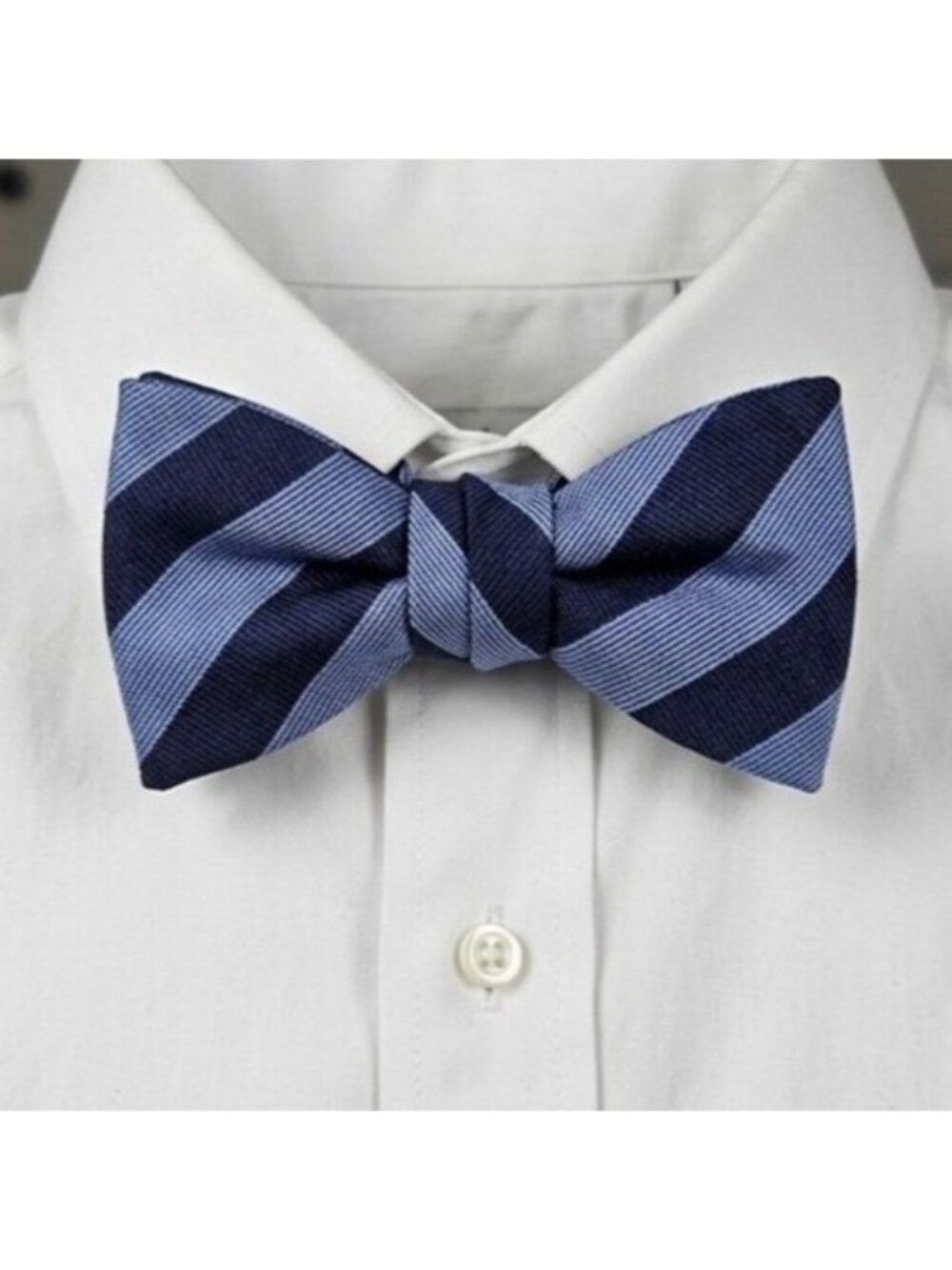 J. Crew Blue NavyStripe 100% Silk Butterfly Bowtie